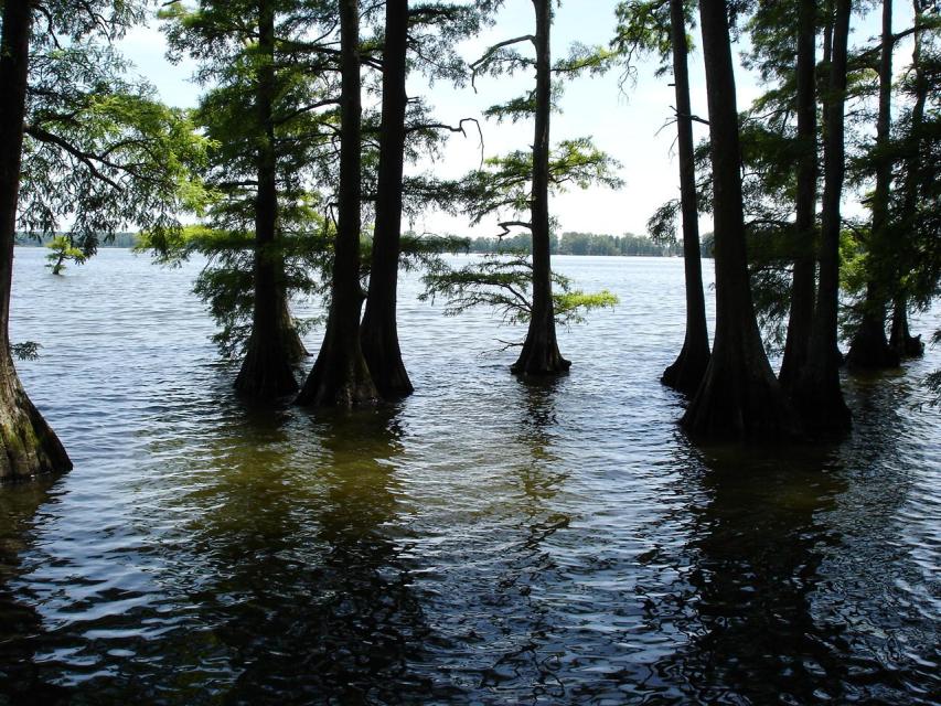 lake2